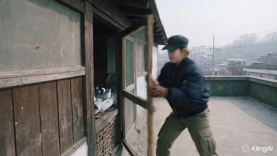Adult pigeon keeper inside a fenced Korean-style rooftop loft